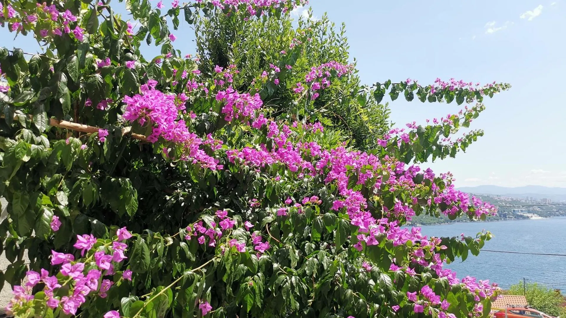 Ginko House Apartment Opatija