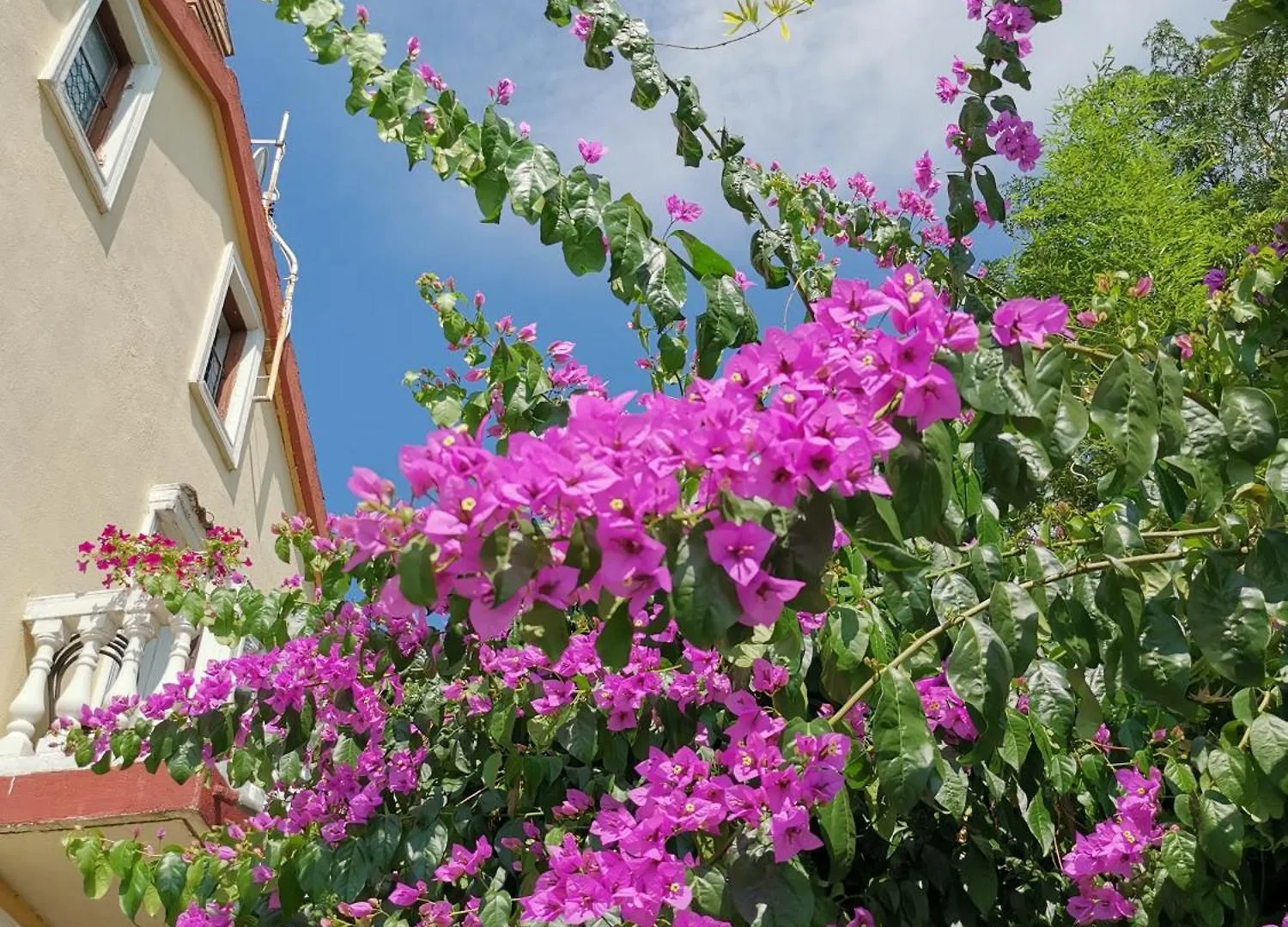 Ginko House Apartment Opatija 0*,